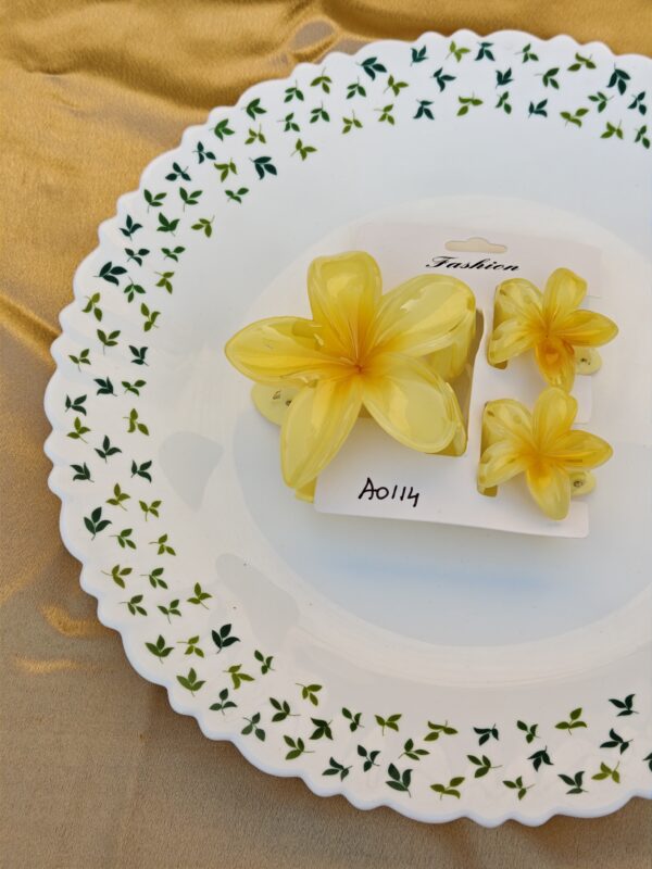 3 Set Hair Clip Combo Set