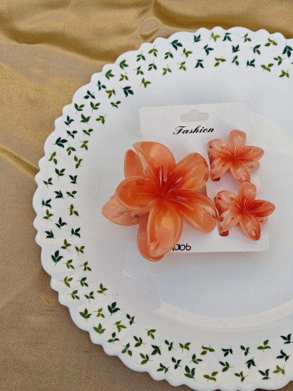 3 Set Hair Clip Combo Set