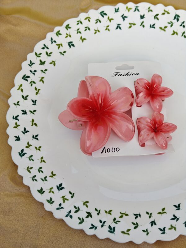 3 Set Hair Clip Combo Set